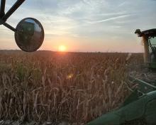 harvesting in the fall at sunset